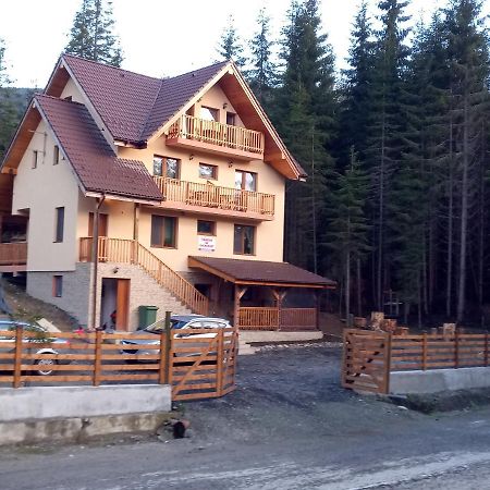 Отель Vidra Parc Войняса Экстерьер фото