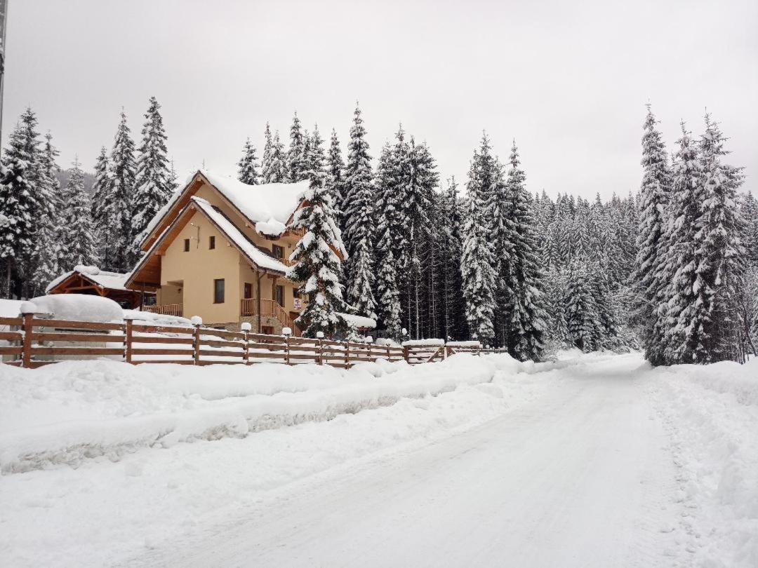 Отель Vidra Parc Войняса Экстерьер фото