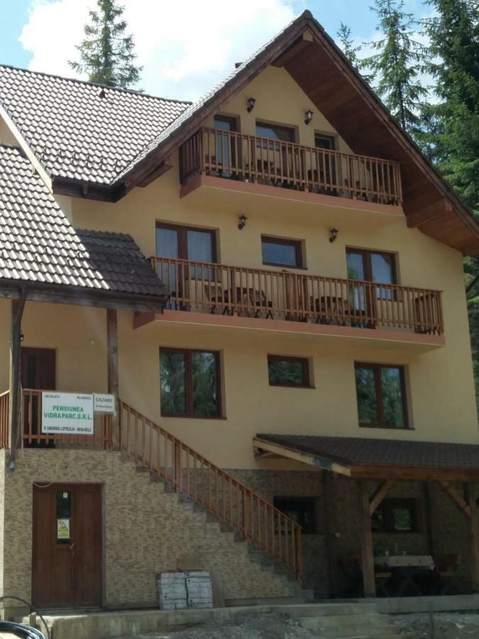 Отель Vidra Parc Войняса Экстерьер фото