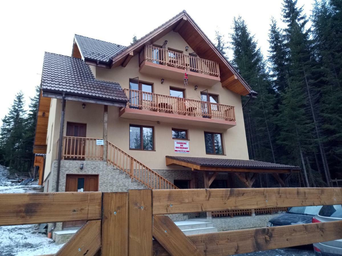 Отель Vidra Parc Войняса Экстерьер фото