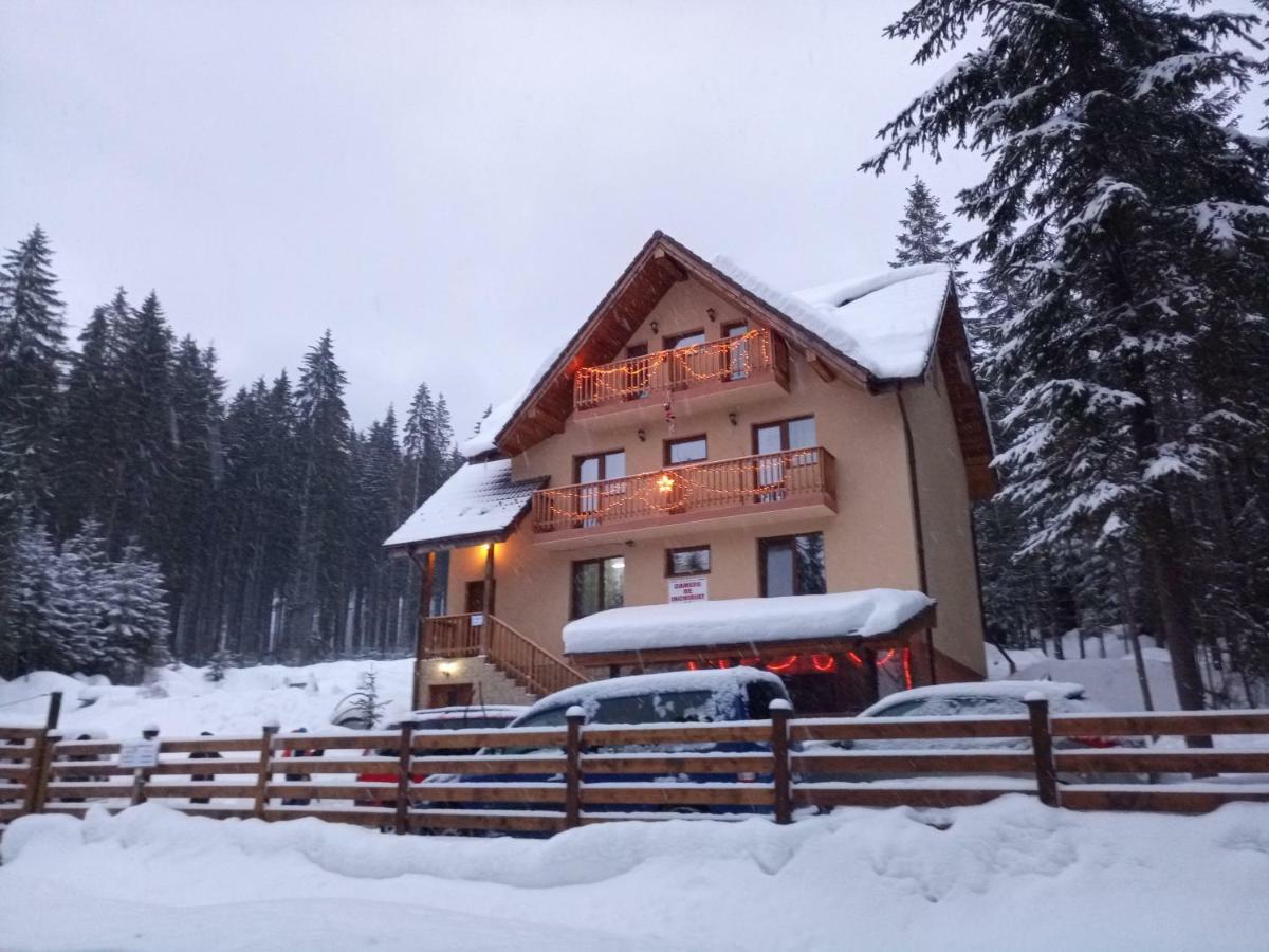 Отель Vidra Parc Войняса Экстерьер фото