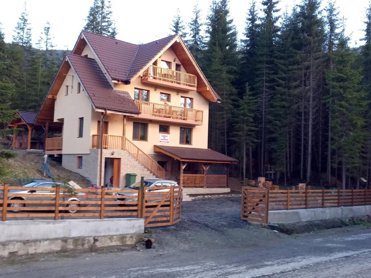 Отель Vidra Parc Войняса Экстерьер фото