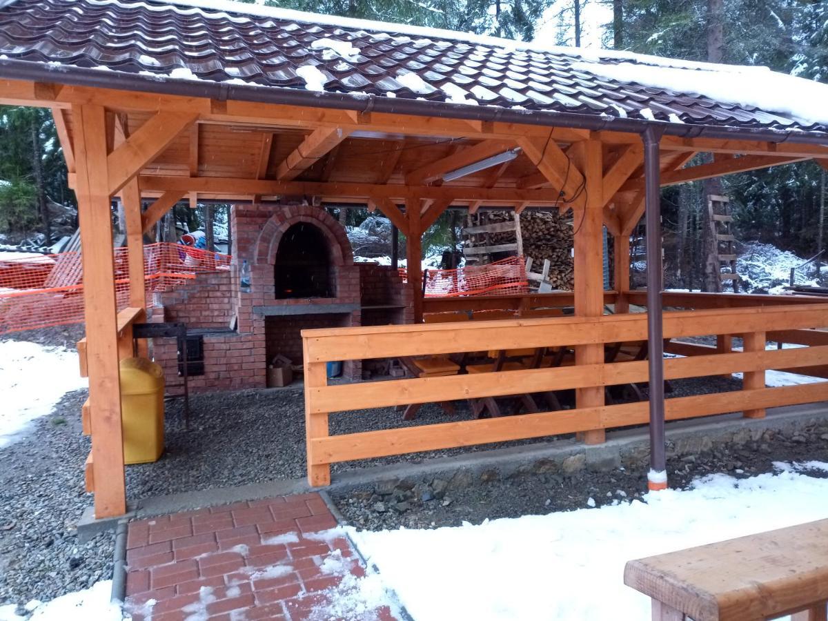 Отель Vidra Parc Войняса Экстерьер фото